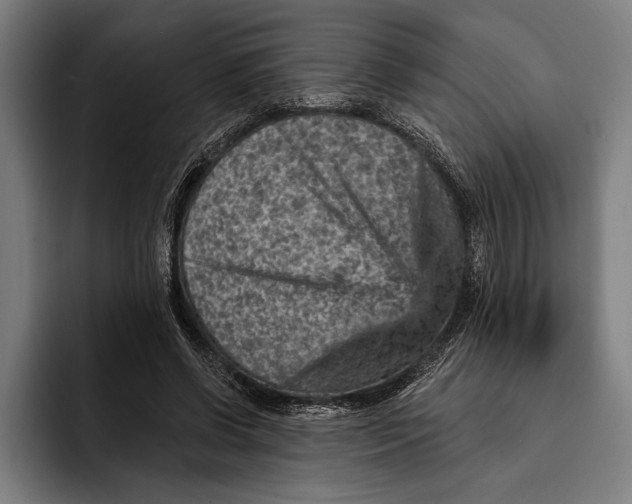 X0000092300542200710121449