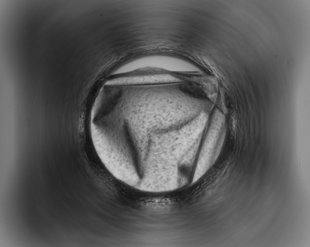 X0000092300543200710121449