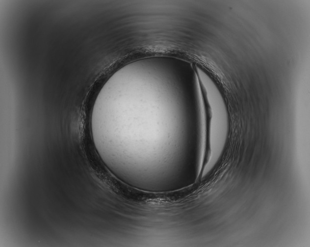 X0000092300544200710121449