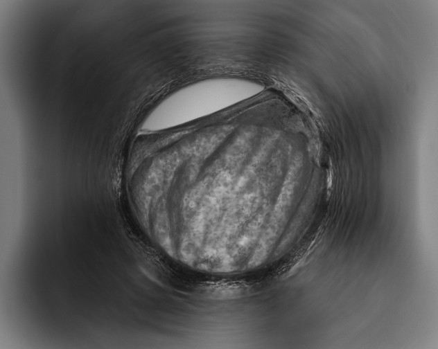 X0000092300545200710121449