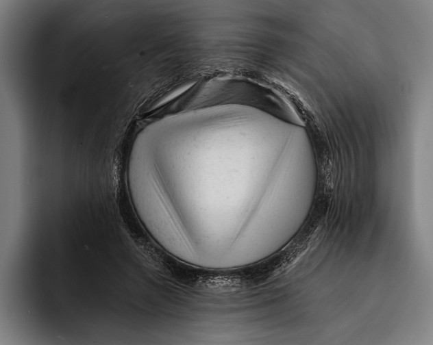 X0000092300546200710121449