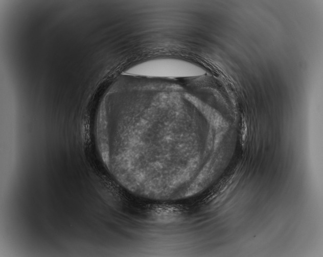 X0000092300547200710121449