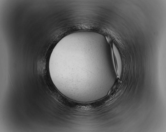 X0000092300548200710121449