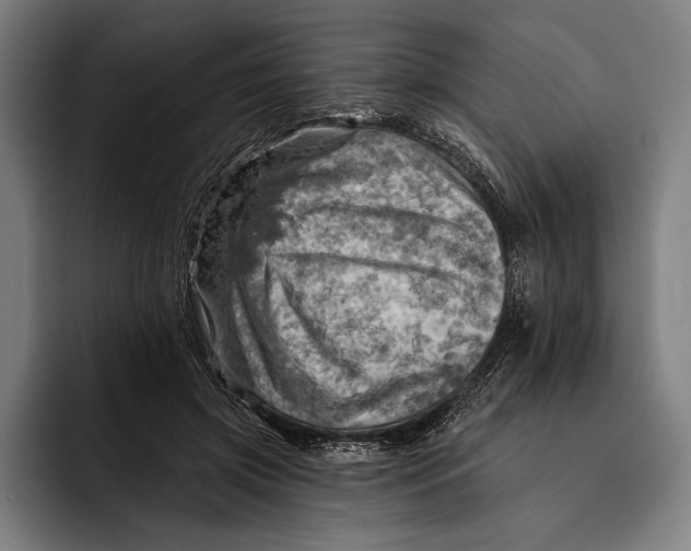 X0000092300549200710121449