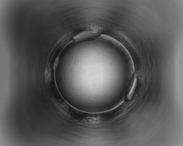 X0000092300552200710121449