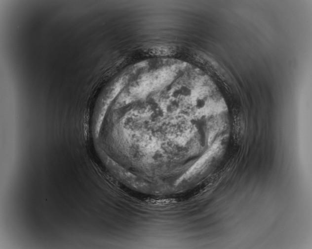 X0000092300553200710121449