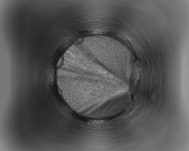 X0000092300554200710121449