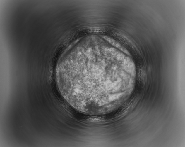 X0000092300557200710121449