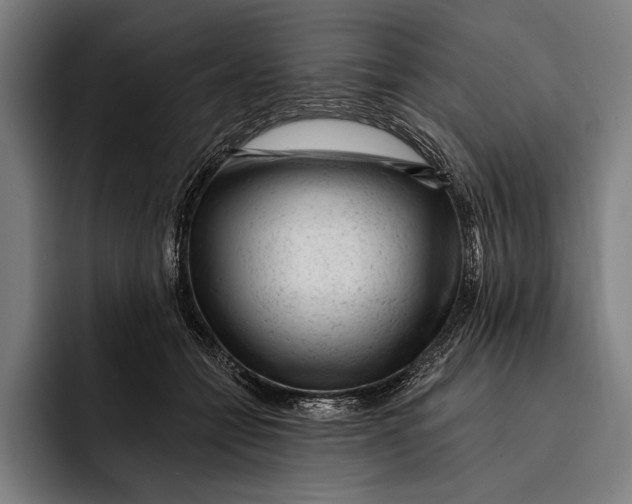 X0000092300558200710121449