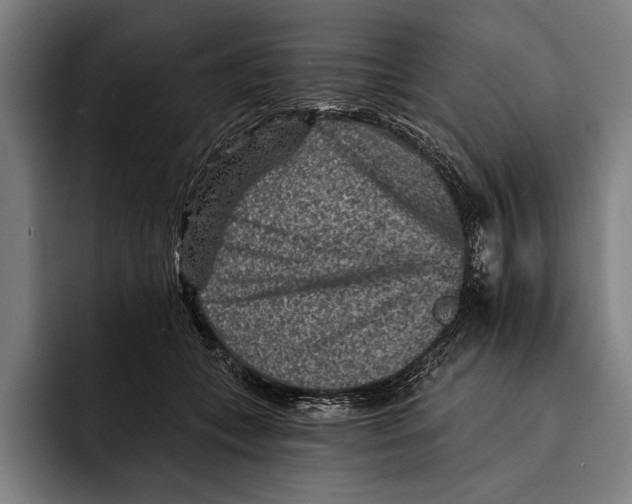 X0000092300559200710121449