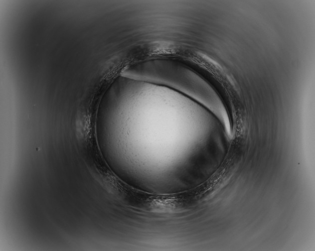 X0000092300560200710121449