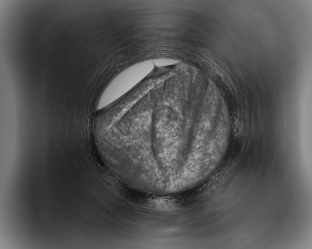 X0000092300561200710121449