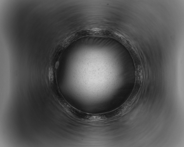 X0000092300562200710121449