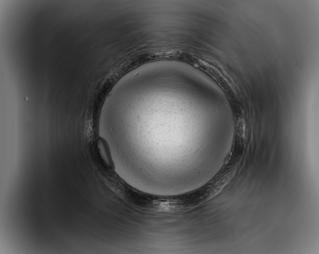 X0000092300564200710121449