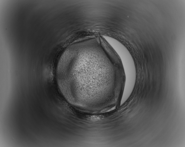 X0000092300566200710121449