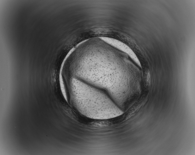 X0000092300567200710121449