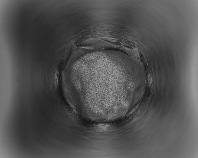 X0000092300570200710121449