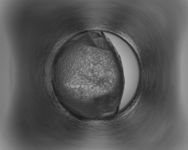 X0000092300577200710121449