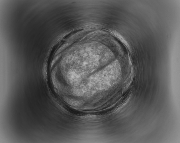 X0000092300581200710121449