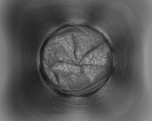 X0000092300582200710121449