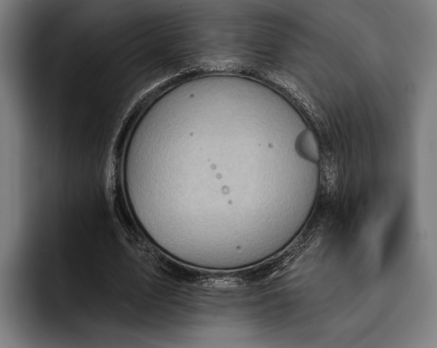 X0000092300583200710121449