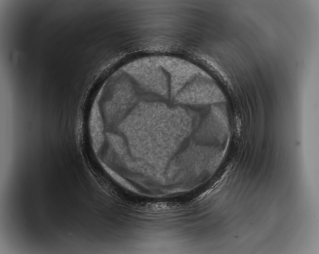 X0000092300588200710121449