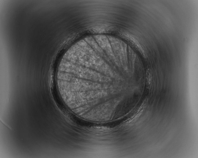 X0000092300590200710121449