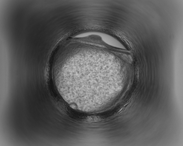 X0000092300591200710121449