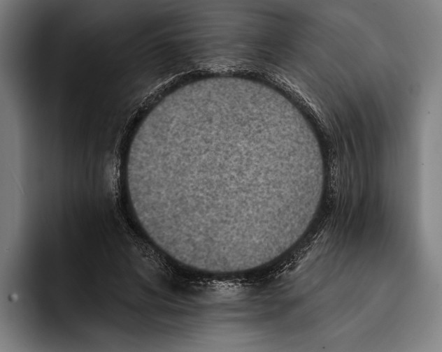 X0000092300592200710121449