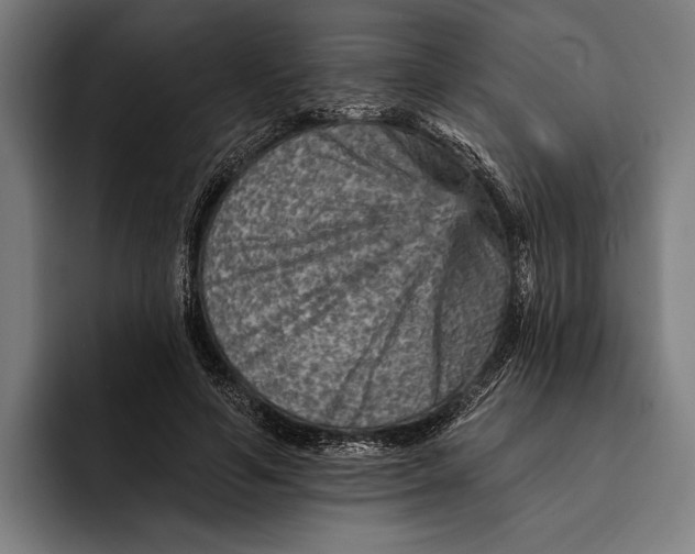 X0000092300594200710121448