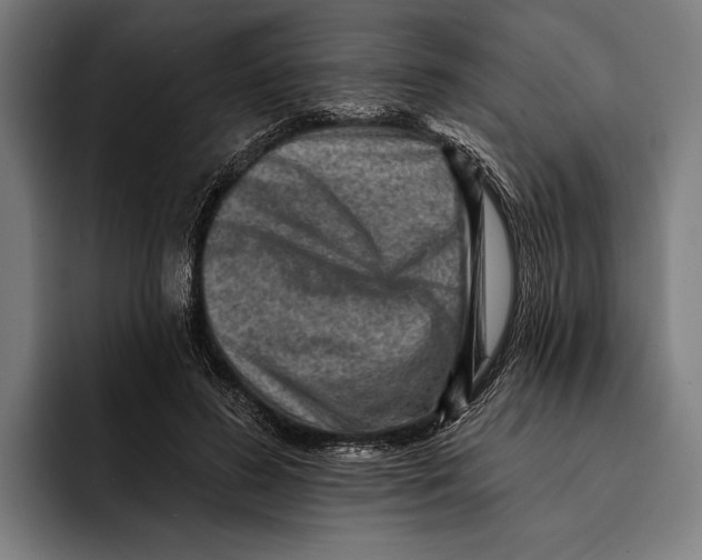 X0000092300596200710121448