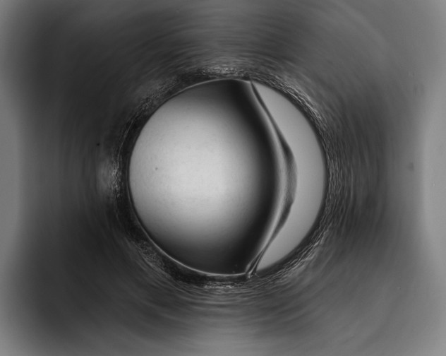 X0000092300597200710121448