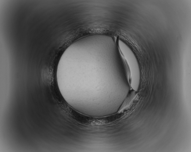 X0000092300599200710121448