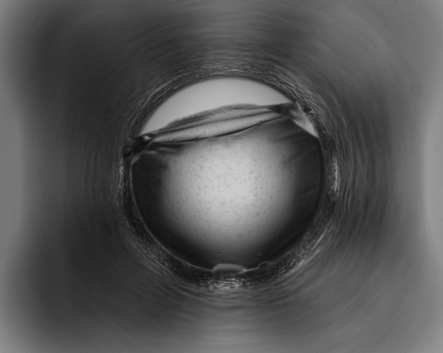 X0000092300600200710121448