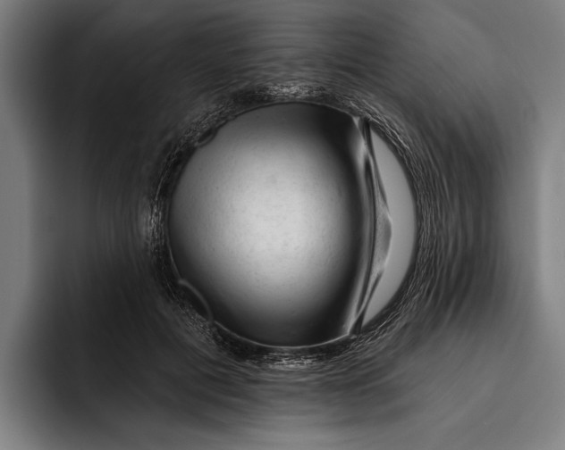 X0000092300601200710121448