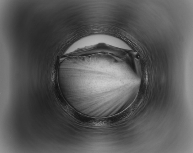 X0000092300604200710121448