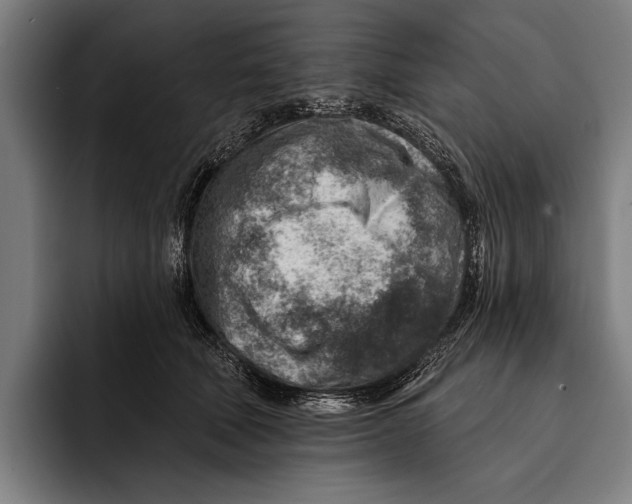 X0000092300610200710121448