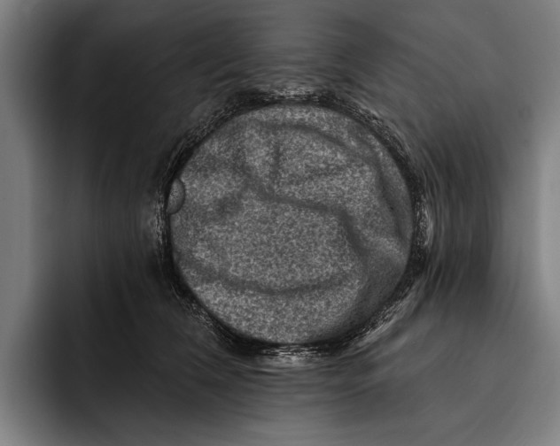 X0000092300612200710121448