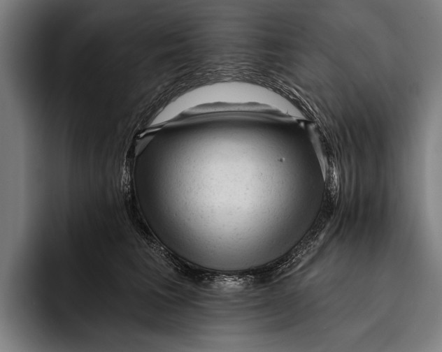 X0000092300613200710121448