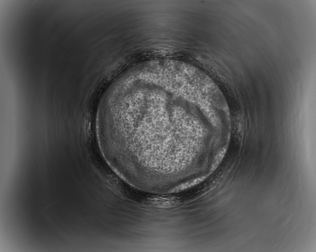 X0000092300615200710121448