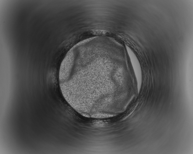 X0000092300616200710121448