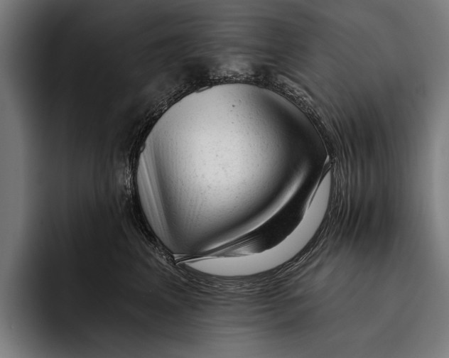 X0000092300617200710121448