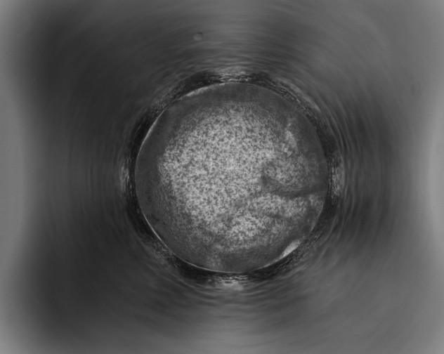 X0000092300618200710121448