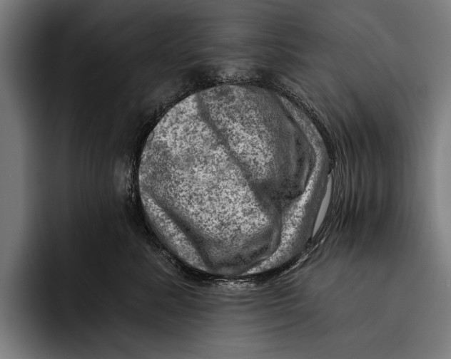 X0000092300619200710121448