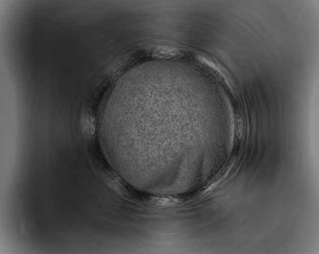 X0000092300621200710121448