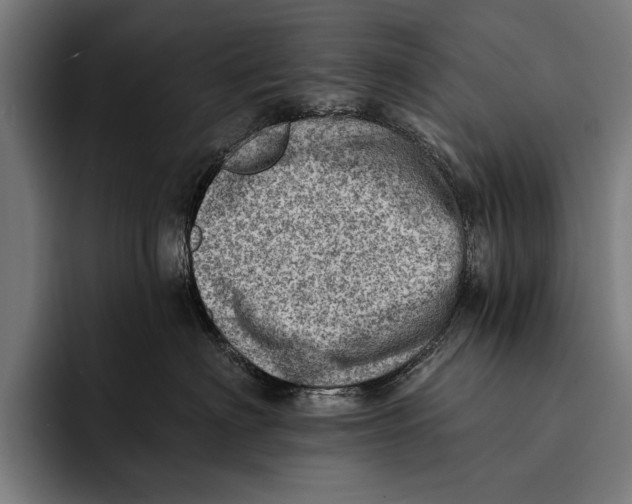 X0000092300622200710121448