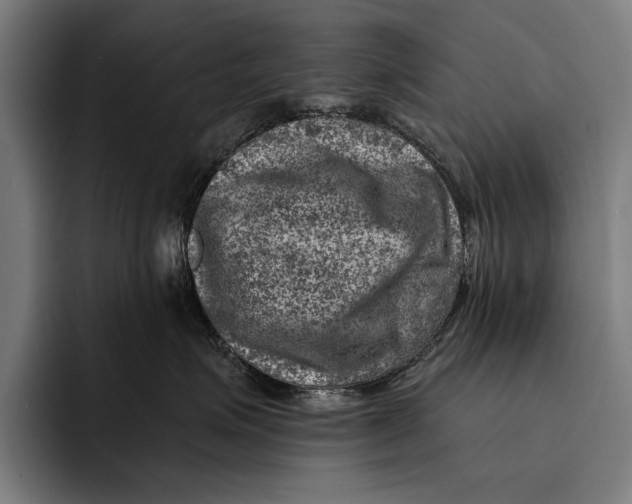 X0000092300623200710121448