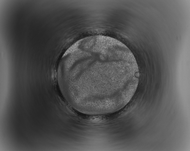 X0000092300624200710121448