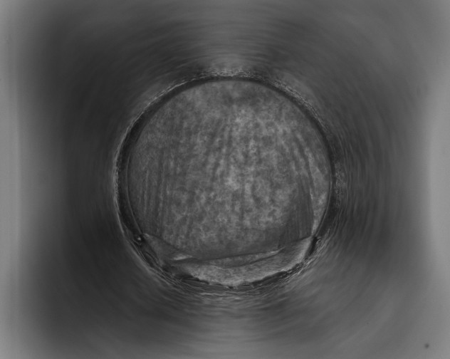 X0000092300626200710121447