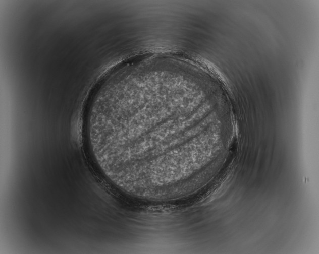 X0000092300627200710121447